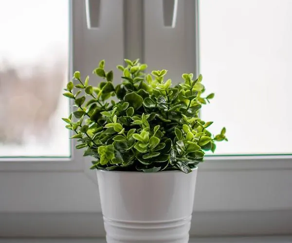 Apartments24 Spordi Rakvere